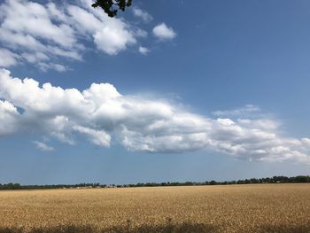 Scenic view of field against sky