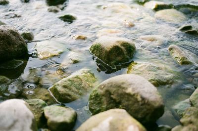 Close-up of stones in sea