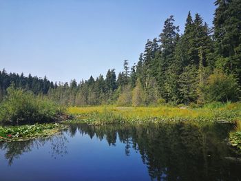 Scenic view of lake against clear sky