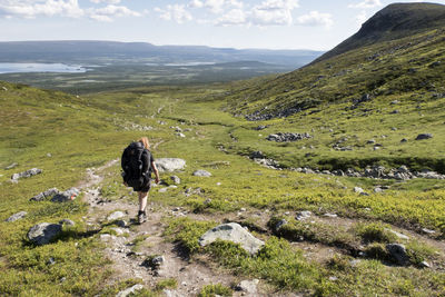 Rear view of woman carrying backpack while walking in national park