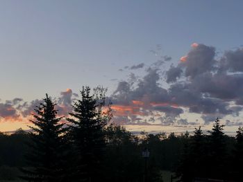 Low angle view of silhouette trees against sky during sunset