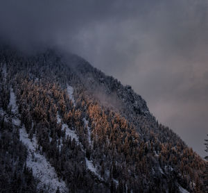Low angle view of snow covered mountain against sky