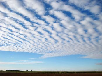 Scenic view of field against cloudy sky