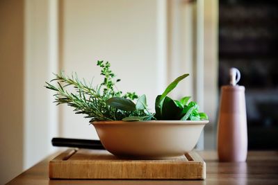 Close-up of potted plant on table at home