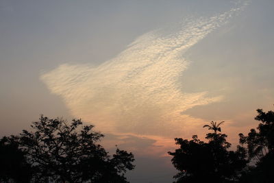 Low angle view of tree against sky during sunset