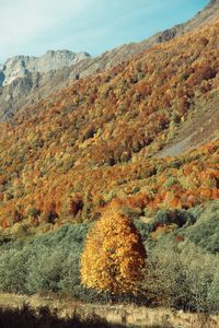 Scenic view of mountain against sky during autumn