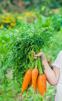 Side view of woman holding plant