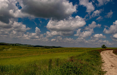 Scenic view of agricultural field against sky