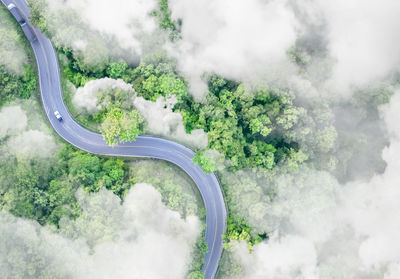 Aerial top view of electric vehicle driving on a winding highway road in green forest with fog.