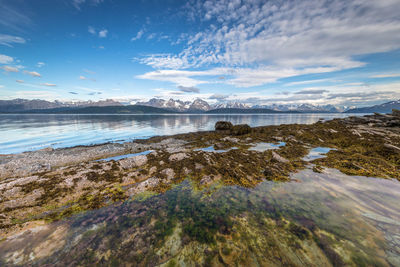 Scenic view of sea against sky