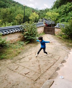 Boy jumping on built structure against trees