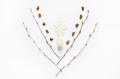 High angle view of ice cream against white background