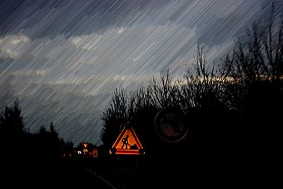 View of illuminated trees at night