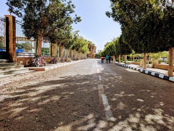 Road amidst trees in city against sky