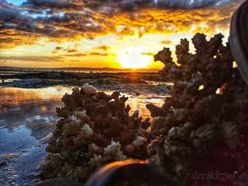 Scenic view of sea during sunset