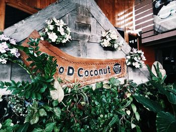 Potted plants and text on wood