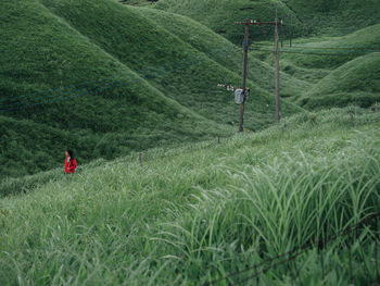 Scenic view of field