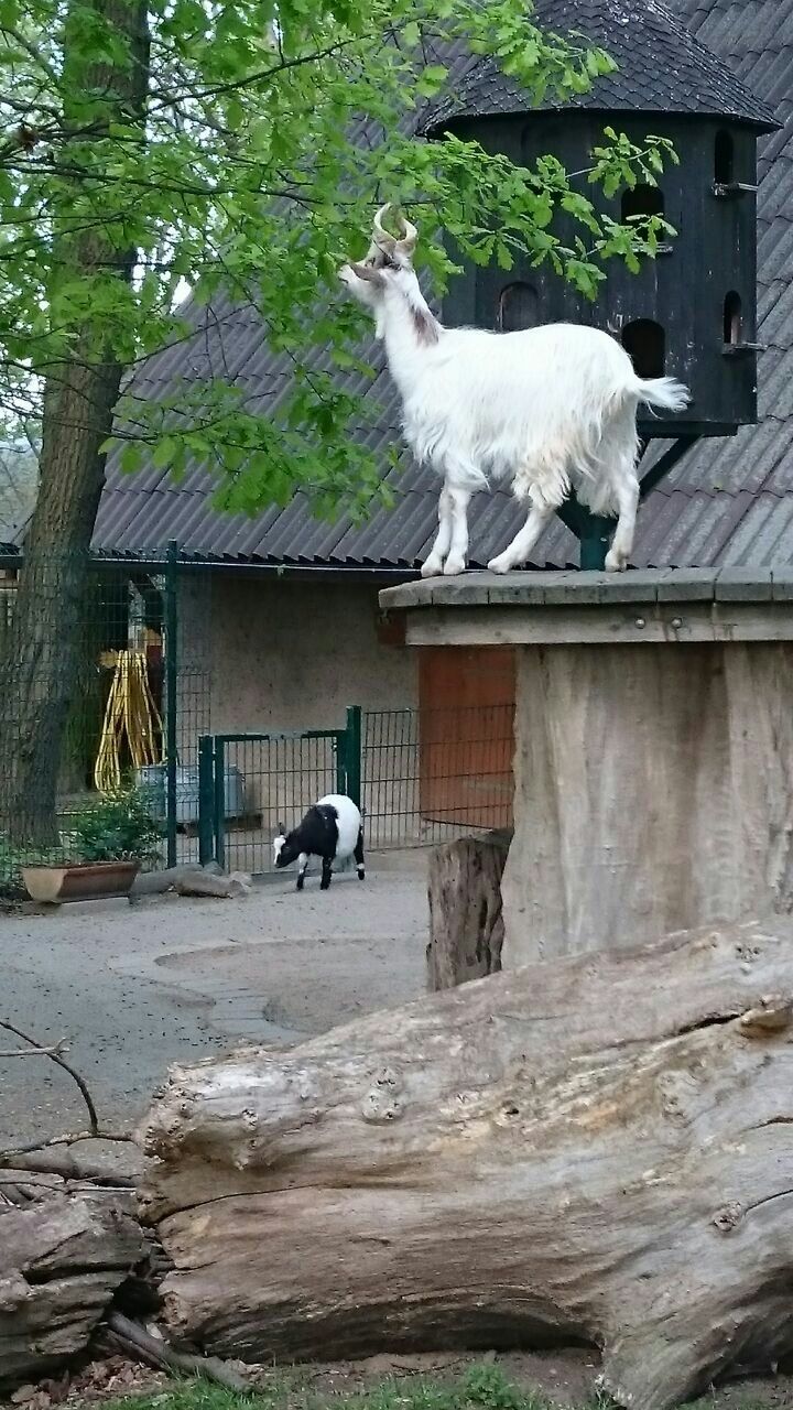 Tierpark Biererberg