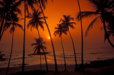 Silhouette palm trees at beach against sky during sunset