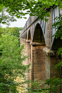 Low angle view of arch bridge and trees in forest