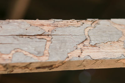 Close-up of weathered wooden wall