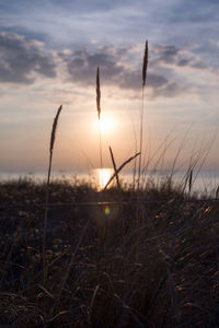 Scenic view of land against sky during sunset