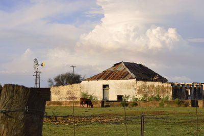 Houses by trees against sky