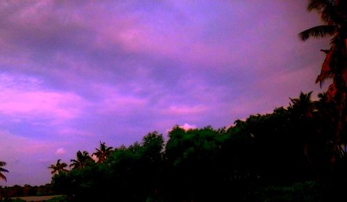 Low angle view of silhouette trees against sky during sunset