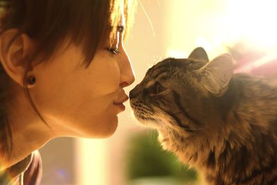 Close-up of woman kissing cat at home