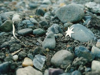 Close-up of stones on pebbles