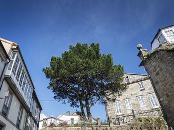 Low angle view of trees and buildings against blue sky