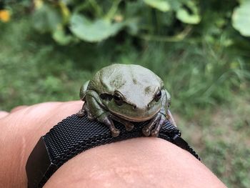 Close-up of person holding ice cream cone