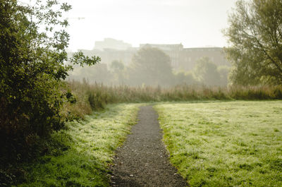 Footpath amidst trees against sky