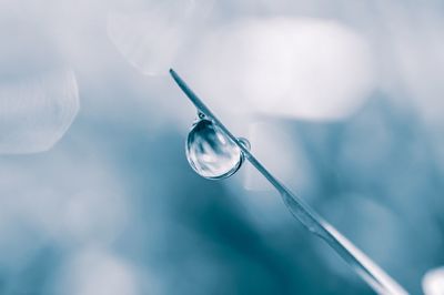 Drop of water on the grass leaf in rainy days in springtime