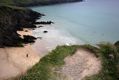 High angle view of birds on beach