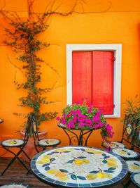 Potted plants on the wall