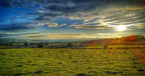 Scenic view of field against sky during sunset