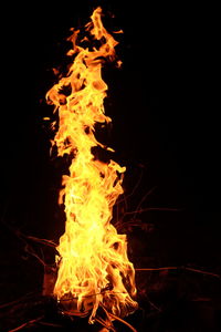 Close-up of bonfire at night