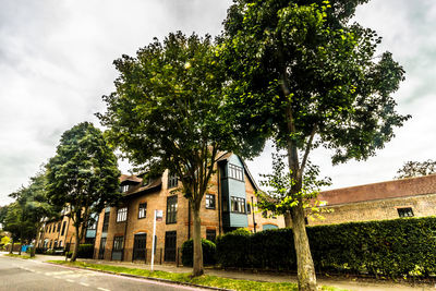 View of trees along built structures