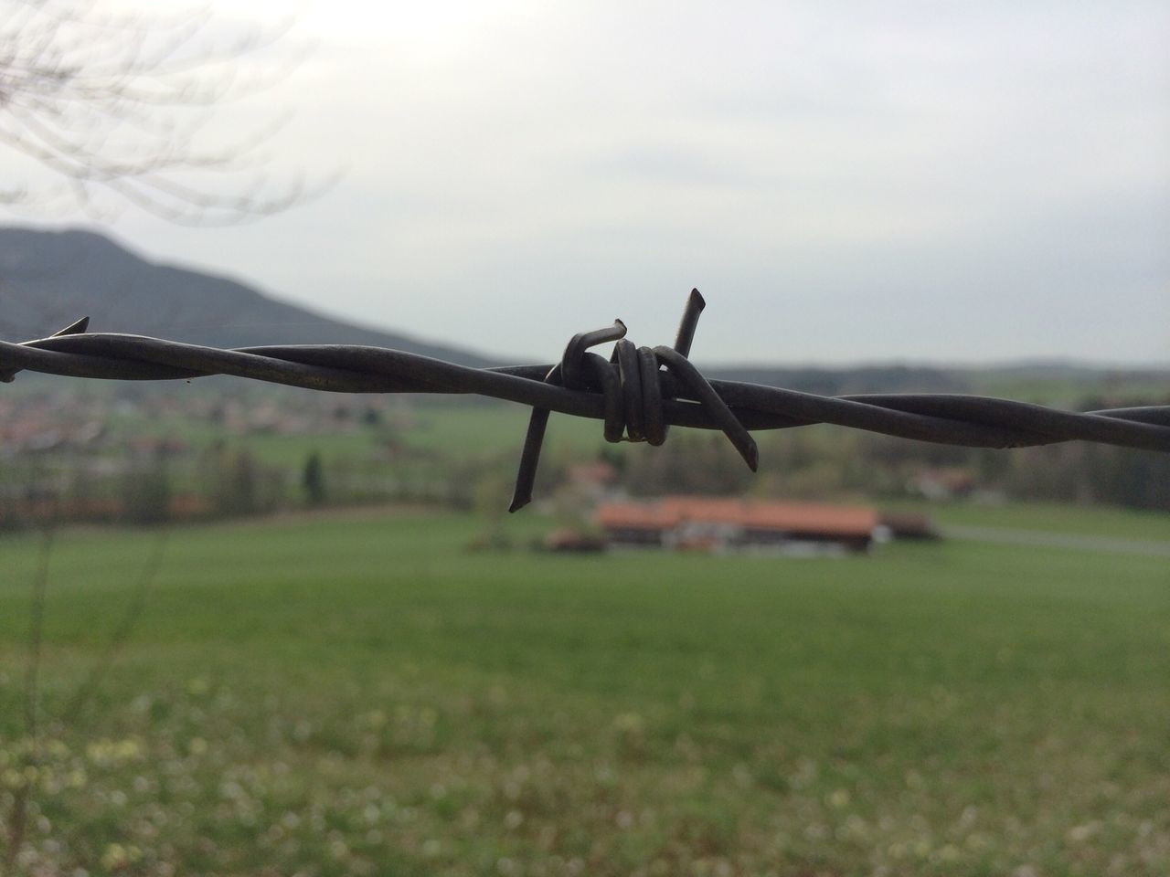 barbed wire, fence, protection, safety, security, focus on foreground, metal, close-up, sky, field, nature, day, grass, selective focus, outdoors, tranquility, landscape, no people, rope, metallic