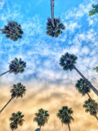 Low angle view of coconut palm tree against sky