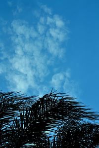 Low angle view of tree against blue sky