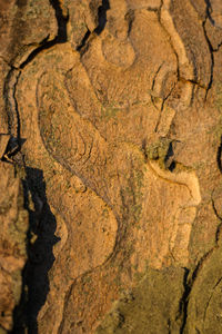 Full frame shot of mud