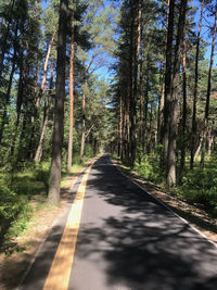 Empty road amidst trees in forest