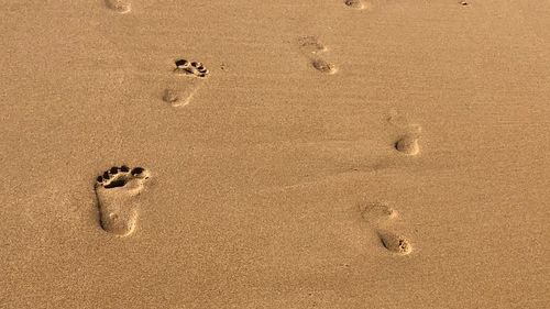 High angle view of footprints on wet sand
