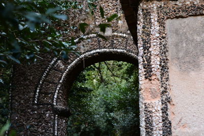 Close-up of plants against building