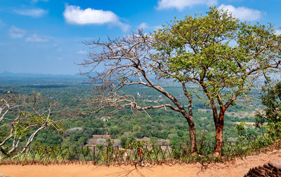 Landscape of sri lanka