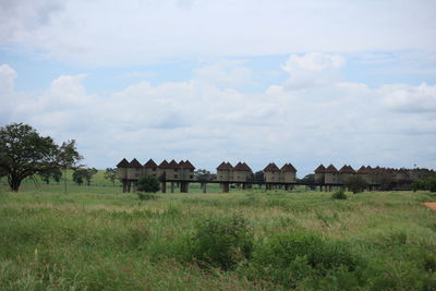 Houses on field against sky