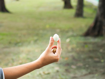 Close-up of woman hand holding grass