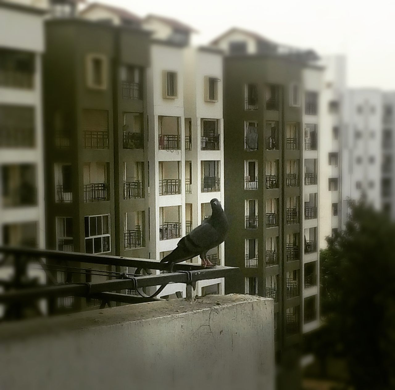 architecture, building exterior, built structure, building, residential structure, residential building, window, old, city, day, house, outdoors, sky, selective focus, no people, abandoned, focus on foreground, clear sky, low angle view, incidental people